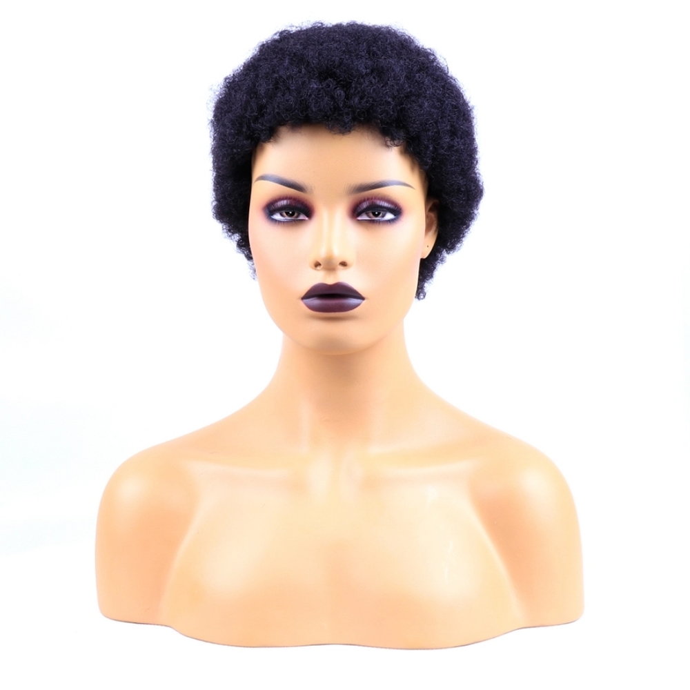 100% Human Hair Wig